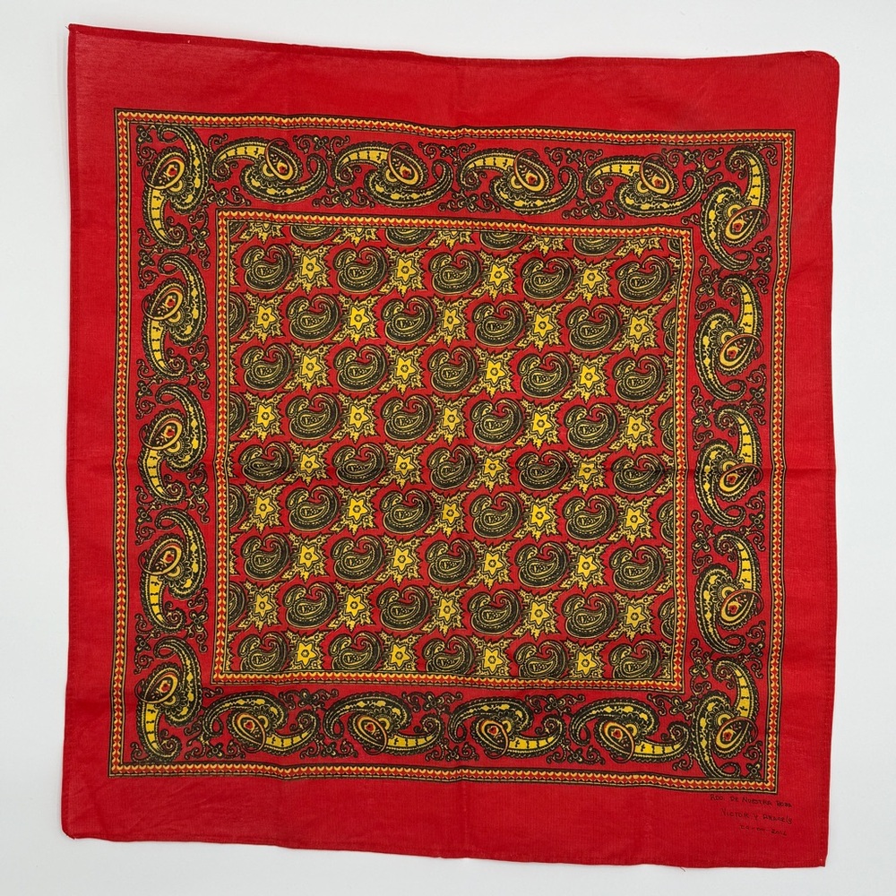 Red Paisley Bandana